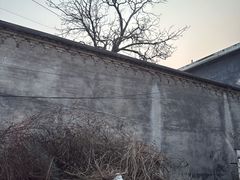 -肆幺幺烤肉(乐汇城店)