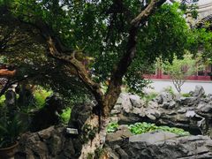 -中国昆曲博物馆