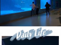 -常州海昌海洋探索馆