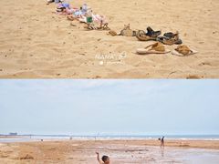 -日照海滨国家森林公园