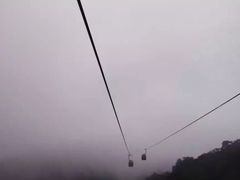 -牛背梁国家森林公园