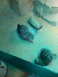 -酷嗒动物文化乐园(cutezoo西溪乐天城店)