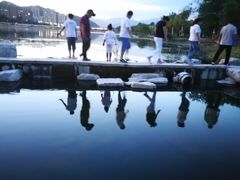 -永定河休闲森林公园