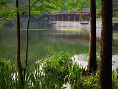 -重庆彩云湖湿地公园
