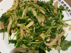 香菜肚-直隶安家牛肉罩饼(建华店)