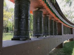 -武清南湖绿博园