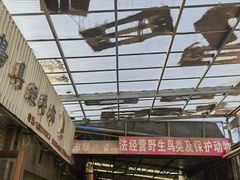 -中环花鸟鱼虫市场