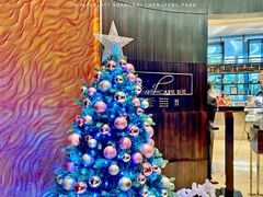 -上海新发展亚太JW万豪酒店