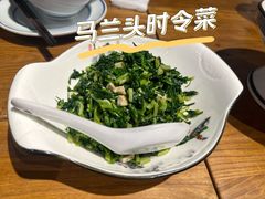 -椿不老