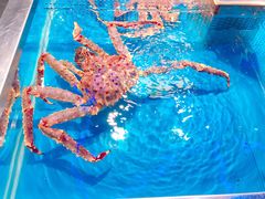 -盒马鲜生(首义店)