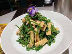 橄榄油丝瓜尖-北平楼·烤鸭·北京菜(牡丹园店)