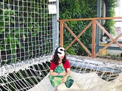 -Rainforest