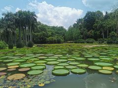 -中国科学院西双版纳热带植物园