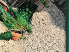 -南京金牛湖风景区