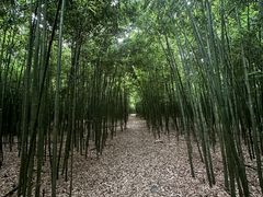 -同里国家湿地公园