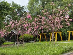 -沙河三洞古桥公园