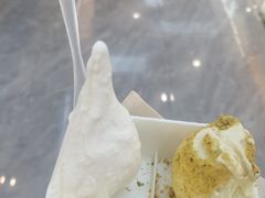 -野人先生现做冰淇淋(西安赛格店)