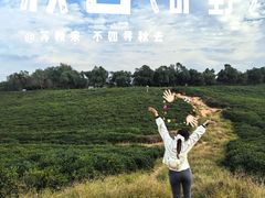 -南京市江宁方山