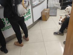 -爱侣宠医·鹦鹉专科·小型哺乳类·异宠专科(灵石路店)