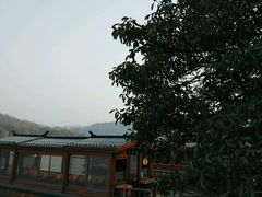 -西湖外事游船(花港观鱼码头)