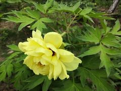 -合肥三国新城遗址公园