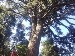 -终南山南五台景区