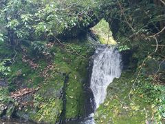 -夏霖九天银瀑风景区