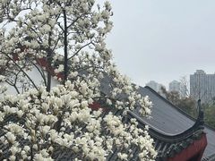-堤角公园