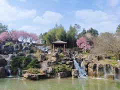 -秀丽东方