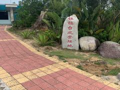 -广东惠东海龟国家级自然保护区