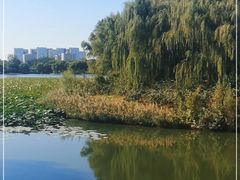 -大兴滨河森林公园