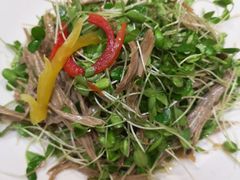-松针蔡记蒸饺(花园路店)
