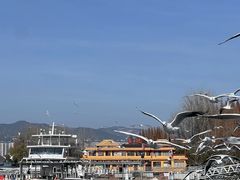 -怡得观滇餐厅·地道昆明菜·1996(海埂大坝店)