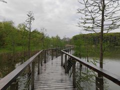 -昆山城市生态森林公园