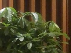 -鹤祥宫·影院足道·SPA连锁(鸿尊布吉店)