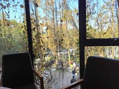 -前小桔亲子创意农场·草莓采摘·露营烧烤