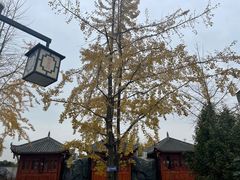 -九尺赵老四鲜鹅肠火锅