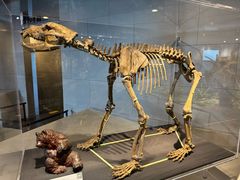 -北京周口店北京人遗址博物馆