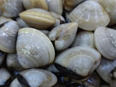 -刘记糟粕醋海鲜烧烤