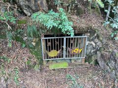 -遂昌金矿国家矿山公园