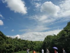 -同里国家湿地公园