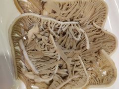 -蜀九香火锅(九眼桥店)