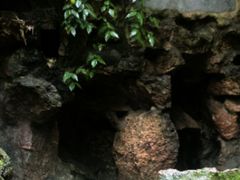 -杭州黄龙洞