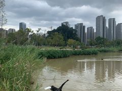 -牛岗山公园