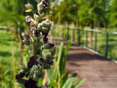 -昆山城市生态森林公园