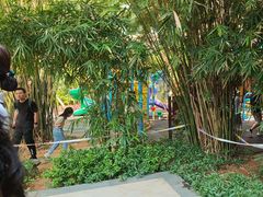 -三亚湾海居铂尔曼度假酒店