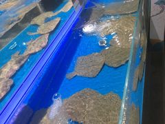 -盒马鲜生(公园1903店)