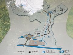 -都江堰中华大熊猫苑