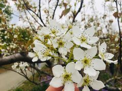 -江苏三台山国家森林公园