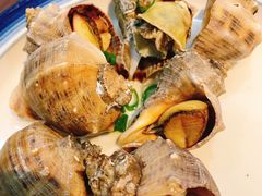 海螺-韩记海鲜饺子旗舰店(红海新区店)